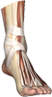 Stacks Image 6142